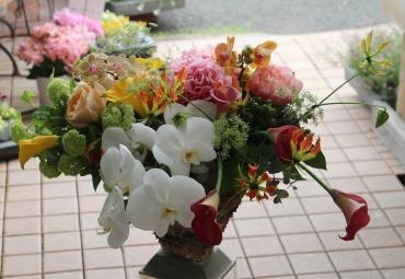 就任祝いのお花｜「フローラント」　（静岡県三島市の花キューピット加盟店 花屋）のブログ