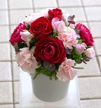 dsc00418