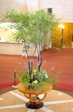 新緑が美しいドウダンツツジ フローラント 花屋ブログ 静岡県三島市の花屋 フローラントにフラワーギフトはお任せください 当店は 安心と信頼の花キューピット加盟店です 花キューピットタウン