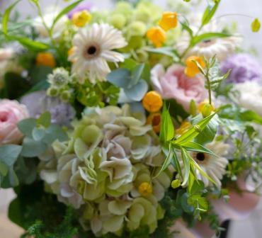 可愛らしいお花に癒されます  フローラント｜「フローラント」　（静岡県三島市の花キューピット加盟店 花屋）のブログ