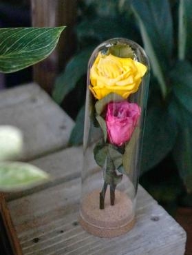 プレゼントのお花を＜可愛い＞プリザーブドフラワーにしました　三島市フローラント｜「フローラント」　（静岡県三島市の花キューピット加盟店 花屋）のブログ