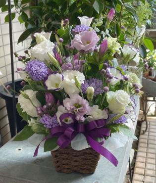 紫色アレンジメント配達しました　三島市フローラント｜「フローラント」　（静岡県三島市の花キューピット加盟店 花屋）のブログ