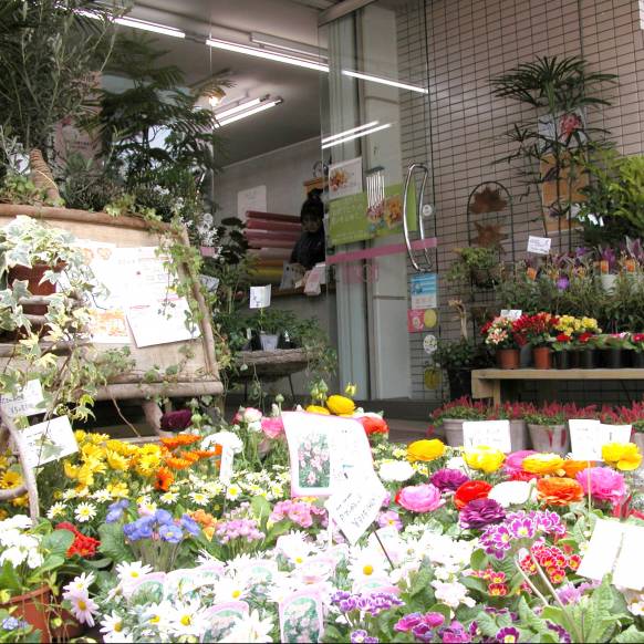 「フローラント」　（静岡県三島市）の花屋店舗写真1